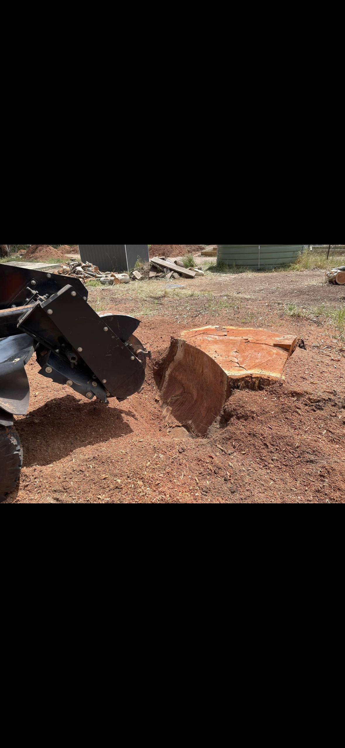 Tree removal and arborist work on an Adelaide property