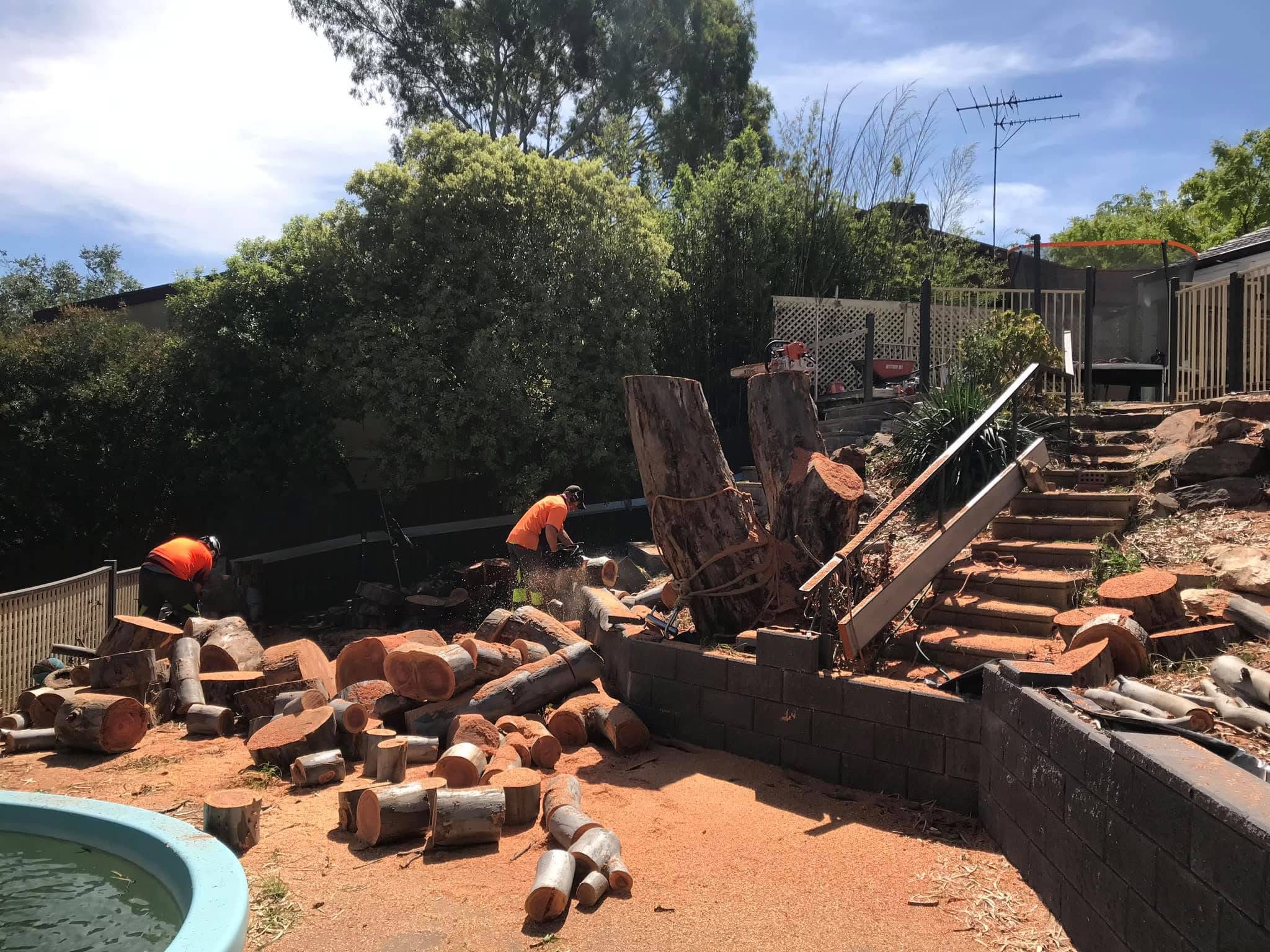 Stump grinding and site cleanup on an Adelaide property