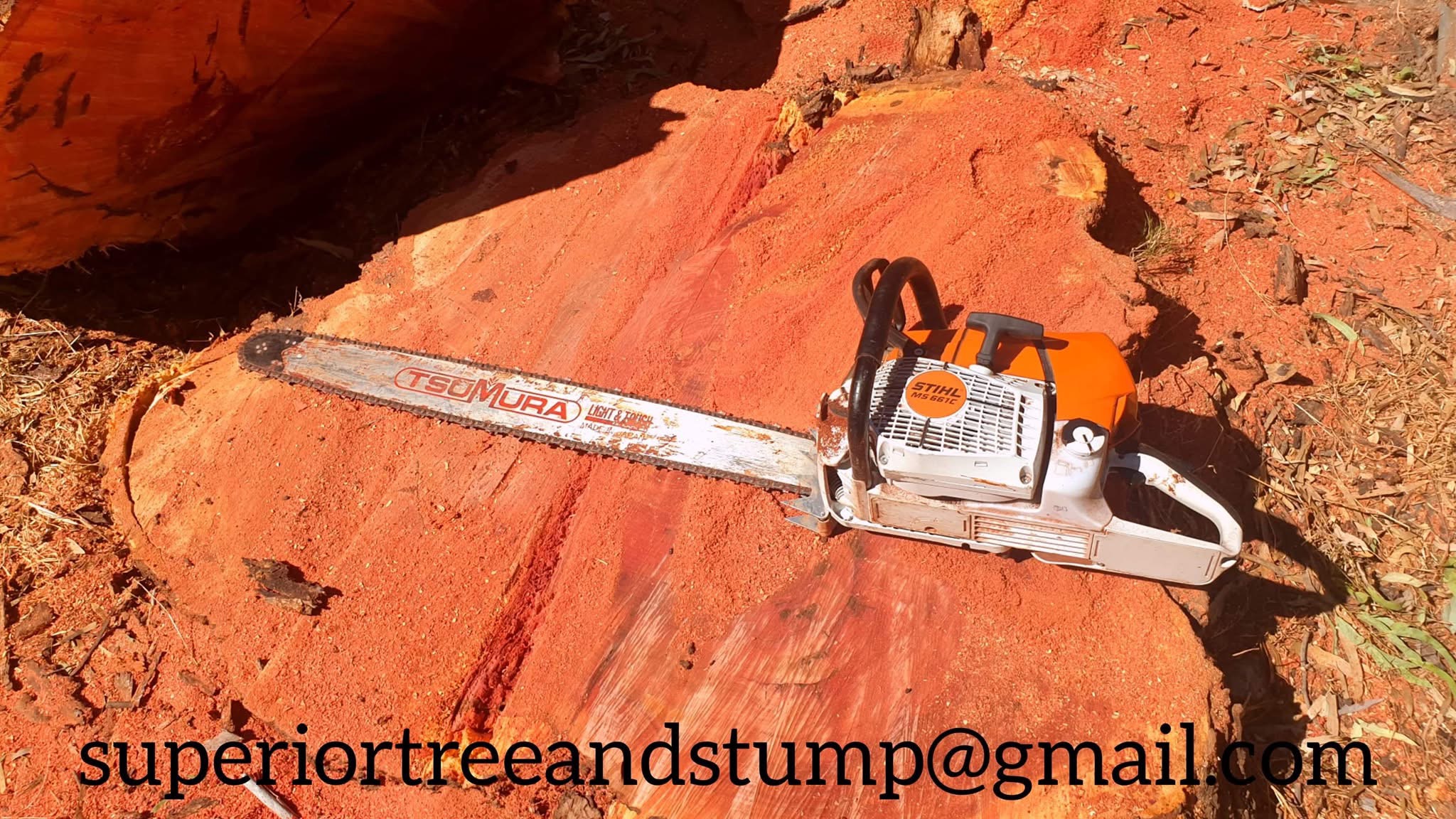 Stump grinding and site cleanup on an Adelaide property