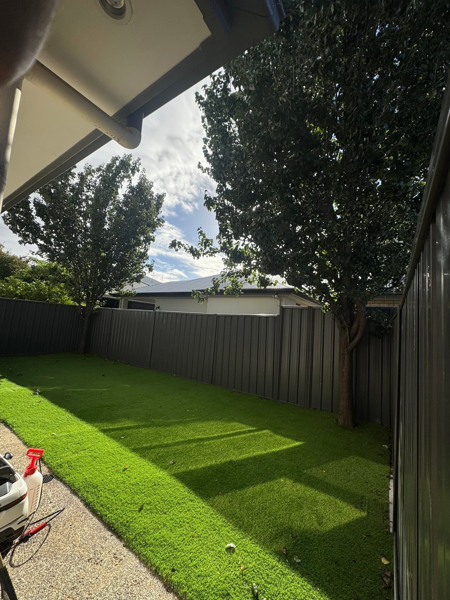 Stump grinding and site cleanup on an Adelaide property